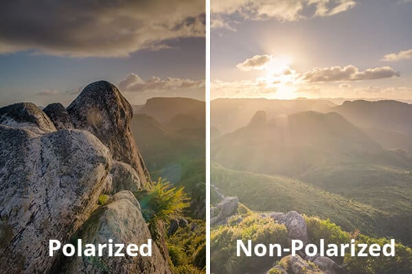 Polarized vs. Non-Polarized Sunglasses | Warby Parker